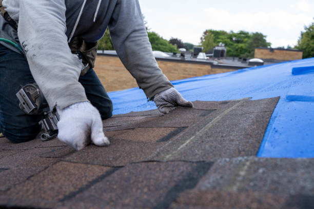 Best Rubber Roofing (EPDM, TPO)  in Tsaile, AZ